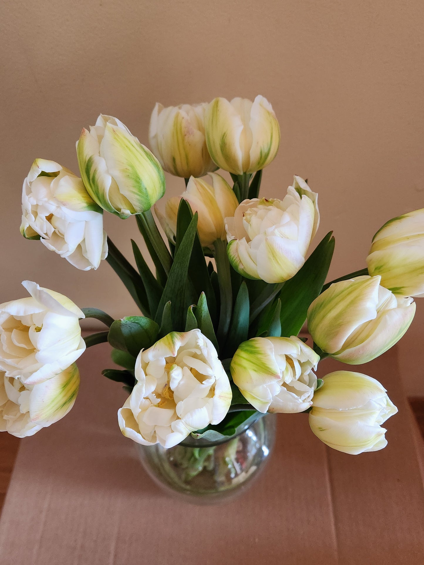 Vase Arrangement