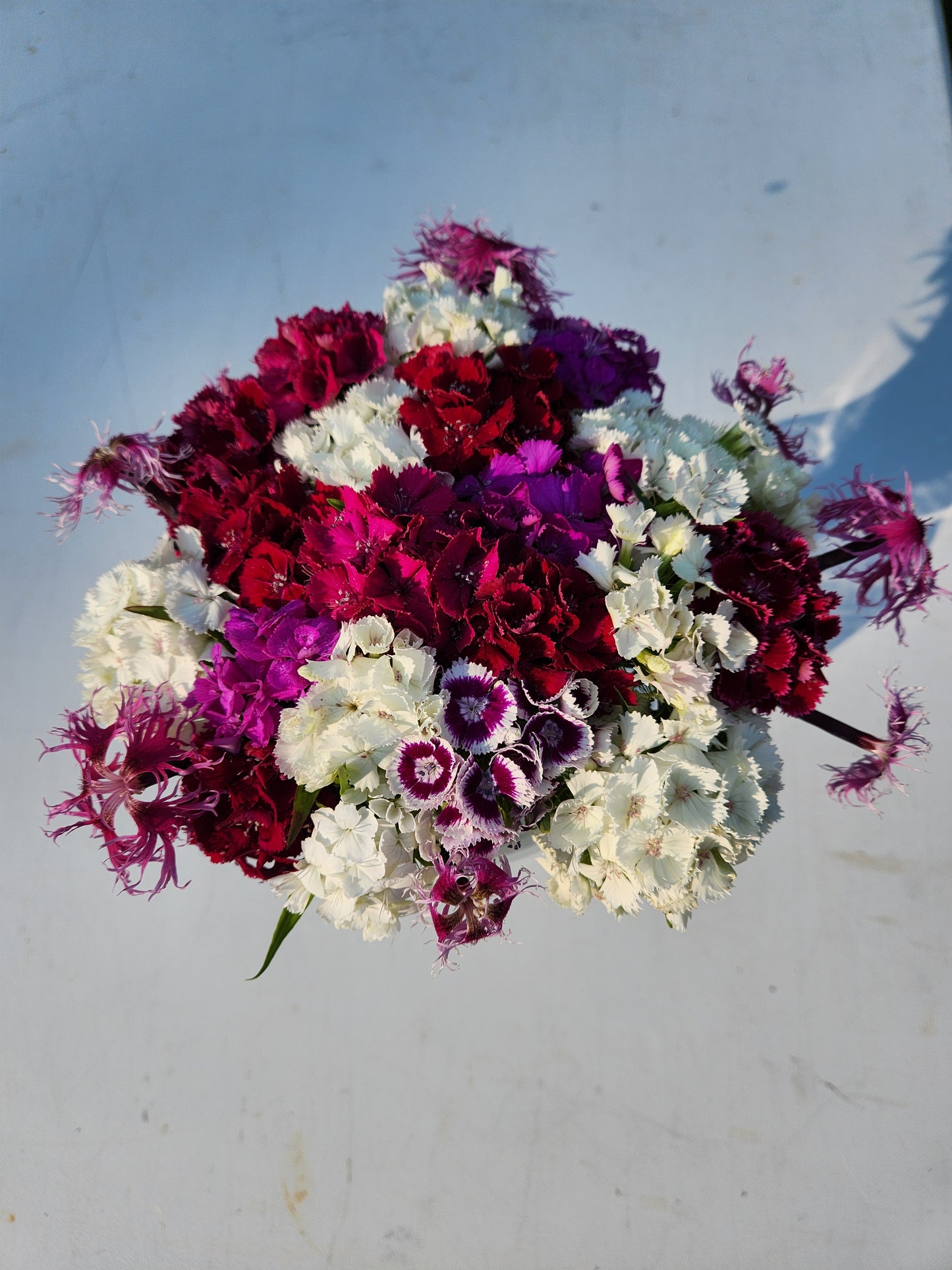 Vase Arrangement